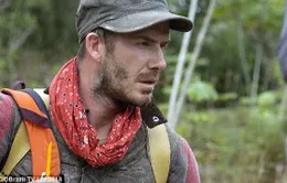 David Beckham thú nhận sợ hãi trước thiên nhiên hoang dã