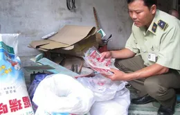 Mì chính Trung Quốc "đội lốt" hàng hiệu