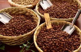 Cà phê chống cảm cúm