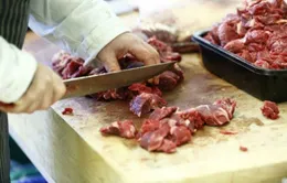 Hà Lan: Thu hồi 50.000 tấn thịt ngựa nghi giả thịt bò