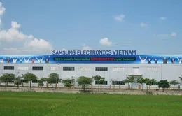 Samsung Việt Nam: Xuất khẩu nhiều, nộp thuế ít