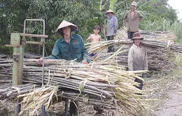 Bí quyết thành công của CLB 200 tấn Hậu Giang