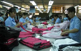 Chỉ số sản xuất công nghiệp tăng 5%