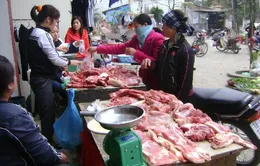 Giá thịt lợn giảm mạnh
