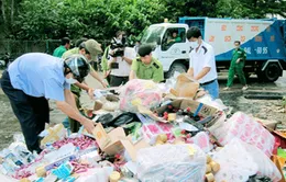 Đà Nẵng tiêu hủy hàng kém chất lượng