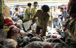 Chưa nhất quán việc xử phạt mũ bảo hiểm