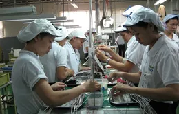 Đầu tư nước ngoài vào Việt Nam sẽ phục hồi mạnh