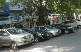 Điểm đỗ xe lề đường – "Gà đẻ trứng vàng"... không chủ