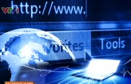 Thị trường lao động trực tuyến khởi sắc