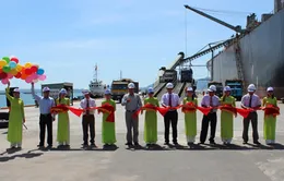 Cảng Cam Ranh đưa vào khai thác cầu tàu 50.000 DWT