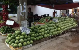 Giá dưa hấu rẻ chưa từng có