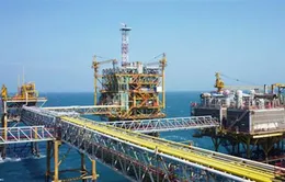 Ngành dầu khí tìm kiếm cơ hội mua bán sáp nhập 