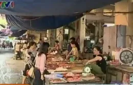 Dư luận trái chiều về nhập khẩu nội tạng trắng