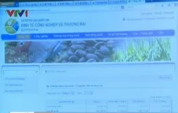 Vận hành Cơ sở dữ liệu Quốc gia ngành công thương