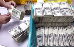 USD tăng mạnh nhất trong 3 năm