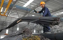 Quá nửa thành viên Tổng công ty thép Việt Nam thua lỗ