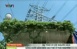 Thái Nguyên: Dân sống thấp thỏm dưới đường điện cao thế