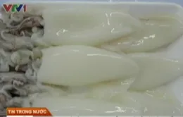 Mực tươi trắng nhờ xử lý hóa chất
