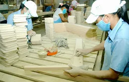 DN nhỏ và vừa gặp nhiều sức ép trong cạnh tranh quốc tế