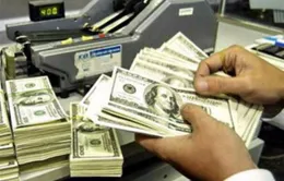 USD tăng trước biên bản họp tháng 7 của FED