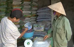 Phân bón giả làm méo mó thị trường cạnh tranh