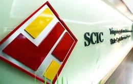 Sẽ giải thể tổng công ty SCIC nếu lỗ kéo dài