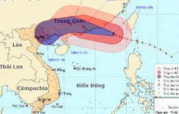 Bão Usagi đổ bộ vào miền Nam Trung Quốc