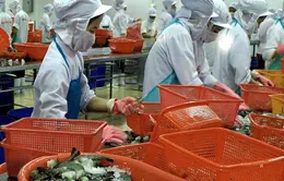 Khánh Hòa xuất khẩu thủy sản chính ngạch sang Trung Quốc