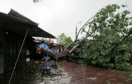 Bồi thường bảo hiểm cho bà con vùng lũ ước tính 22 tỷ đồng 