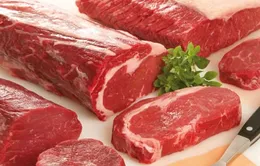 Vi phạm nhập khẩu động vật bị phạt tới 40 triệu đồng