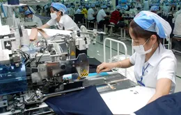 DN Dệt nhuộm yếu thế trước doanh nghiệp FDI