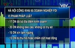 Hà Nội công khai 65 doanh nghiệp FDI vi phạm pháp luật
