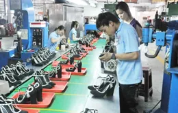 DN Italy đánh giá cao tiềm năng đóng giày Việt Nam