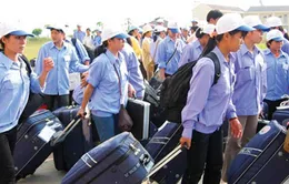 Lao động xuất khẩu phải đóng 300-3.000 USD tiền ký quỹ