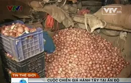 Ấn Độ bất ổn chỉ vì... củ hành tây
