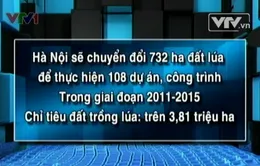 Hà Nội chuyển hơn 700 ha đất lúa làm dự án