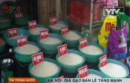 Gạo quê tăng giá mạnh, dân chuyển sang gạo Thái