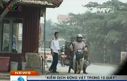 Kiểm dịch động vật trong... 10 giây