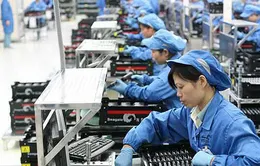 77 công việc không được sử dụng lao động nữ