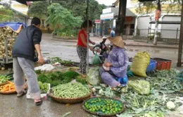 Rau củ quả "đội" giá sau bão