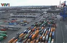 OECD kêu gọi Ngân hàng Trung ương châu Âu nới lỏng định lượng