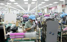Ngành hải quan tìm cách gỡ khó cho doanh nghiệp FDI