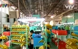 60% DN không có khả năng đóng thuế thu nhập