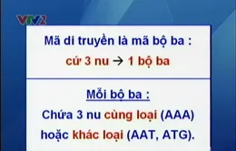 BTKT môn Sinh học: Bài tập về mã di truyền