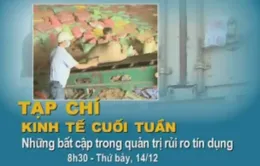 8h30, 14/12 trên VTV1: “Bất cập trong quản trị rủi ro tín dụng”
