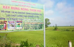 Liên kết 4 nhà - Mô hình điểm cho cánh đồng mẫu lớn 