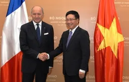 Năm 2013: Năm bản lề thực hiện đường lối đối ngoại hội nhập quốc tế 