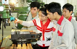 Dạy nghề không phép phạt tới 100 triệu đồng