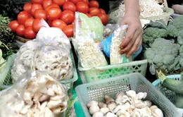 Những nguy hiểm từ nấm tươi không rõ nguồn gốc