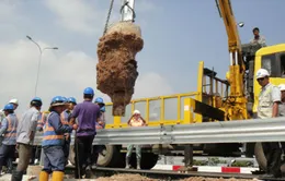 Người dân bất an về cao tốc TP.HCM - Long Thành - Dầu Giây